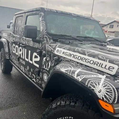 Covering Gorille Cycles
