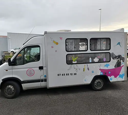 Covering Canins Mobile